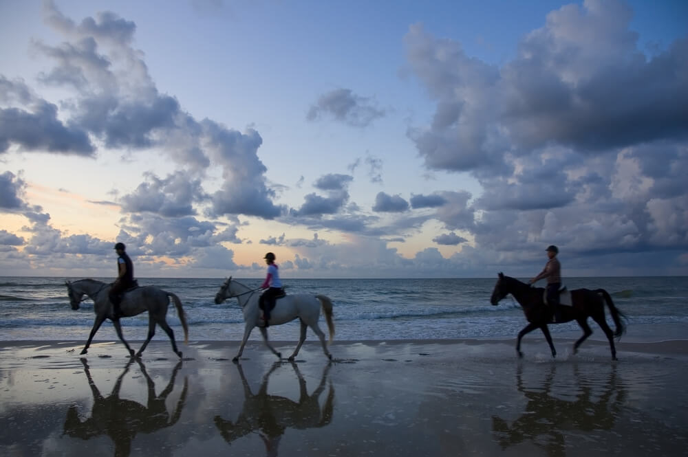 Photo of a Group Horseback Riding on the Oregon Coast at Dusk.