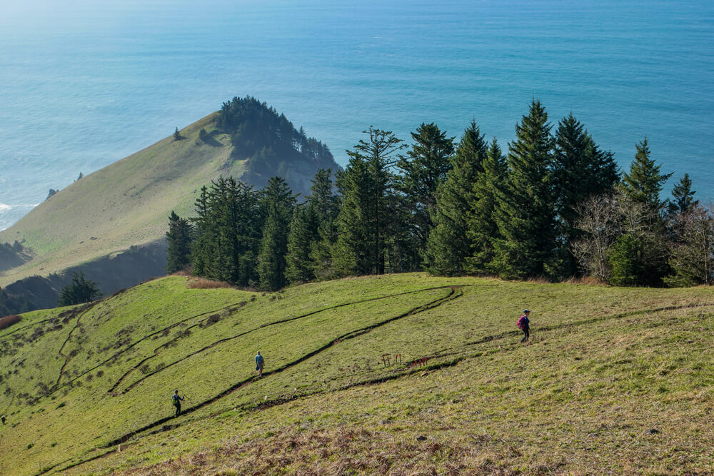 Photo of Lincoln City's "The Knoll," One of the Best Oregon Coast Hikes.